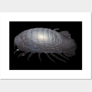 Galaxy Giant Isopod Posters and Art